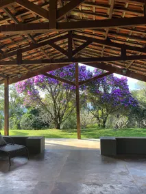 Place to Relax with Your Pet Near SP - Image 4