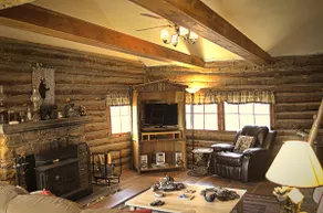Baby Bear Cabin - Image 2