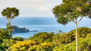 Private Dschungelvilla mit Meerblick, Infinity-Pool, Wildlife & A / C - Image 4