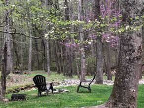 Cabin by the Creek - Image 3