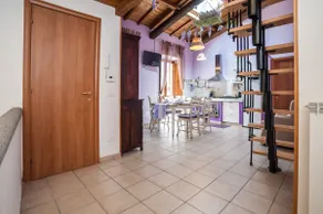The Viola Suite - Image 2