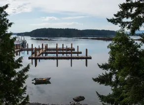 Oceanfront Home - 1bdr Suite is a separate space. - Image 2