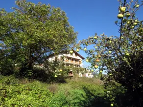 Elai etxea (Añana). Nature in its purest state - Image 2