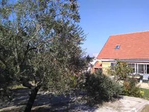 The Olive Garden Sibenik country holliday krka np - Image 3