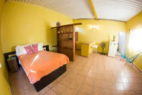 Studio Pachita - Image 5