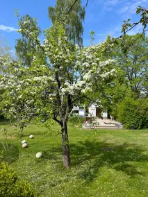 Nice farmhouse with history from the 1800s - Image 5