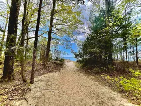 Canadian Cabin. Walk to beach. Forest view. Modern - Image 5