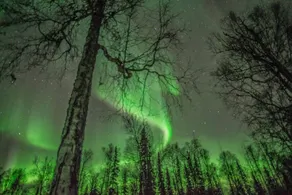 Quiet Retreat in Downtown Talkeetna - Image 4