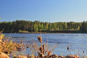 Aapishovi Chalet - Image 3