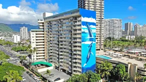Royal Aloha 1505 - Image 4