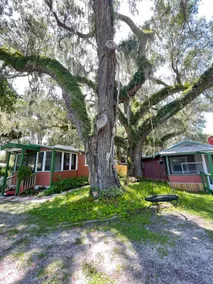 Seaside Dreams Cottage at Coco Ranch - Image 4