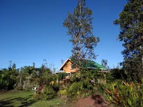 Artistic Cabin In the Forest - Image 2