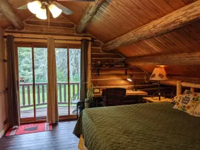 Private 3 BR 1.5 BA log cabin on 34 acres, driveway is 150' from trails - Image 5