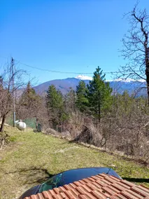 PANORAMIC ATTIC - Image 2