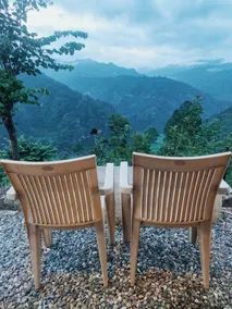 Chamba Nest - Image 4