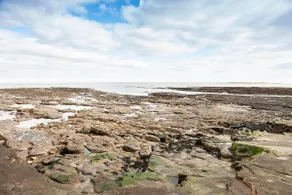 Number 12 - Image 5