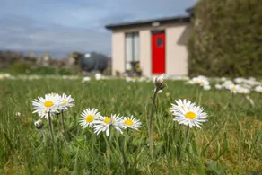 Comfy Annexe near Croagh Patrick with sea views - Image 2