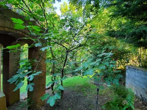 Valley Stream Hideaway - private and comfortable - Image 5