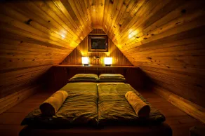 To Fall In Love - Chalet Zlatica - Velika Planina - Image 2