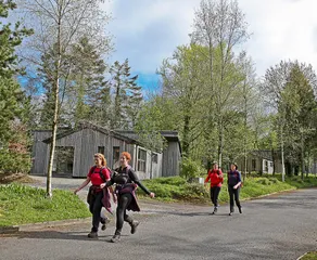Ballyhoura Mountain Lodges - Image 2