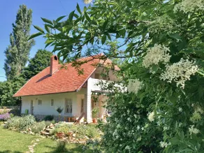 The estate. Second home in the middle of the village and the forest - Image 5