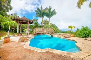 Hawaiian DreamTemple- Tropical Oasis BBPH20120004 - Image 2