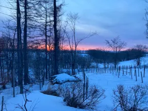 It's lonely in a place where there are no people.It has style. Kushiro Shitsugen National Park is right next door. - Image 2