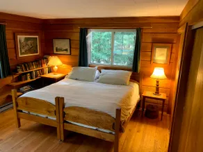 Peaceful Adirondack Cabin right on John's Brook - Image 4