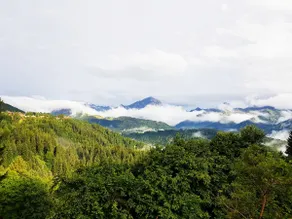 Villars sur Ollon lots of sun, best views & hikes! - Image 3