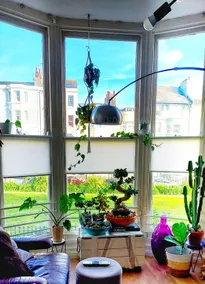 Brighton Sea View flat FREE NETFLIX, Tea & Coffee - Image 4