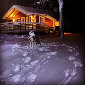 Well-equipped cabin in great nature, Dale/ Fjaler - Image 2