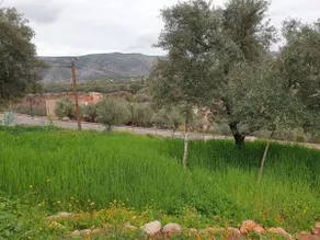 apparently izargan - Image 2