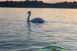 An Escape from City Life - Come to the Lake - Image 4