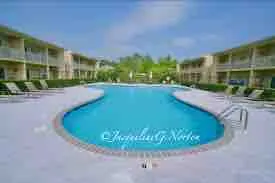 204 Gulf Shores Beach Life | Pool, Trails & Coffee - Image 5