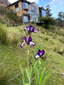 Happy Nest - Image 5