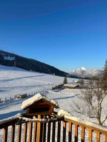 Dream chalet with private forest - Image 3