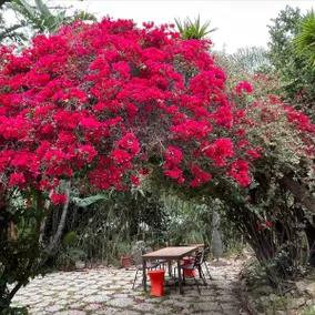 Malibu Mountain Cottage near the Beach! - Image 3