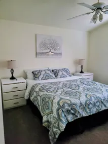 The Comfy Lemon - Image 2