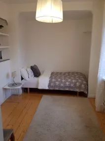 Lovely, spacious apartment with free parking - Image 3