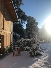 Cedar - Image 5