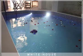 White House - Image 3