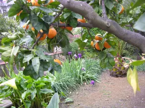 Il Giardino - accomodation - Image 4