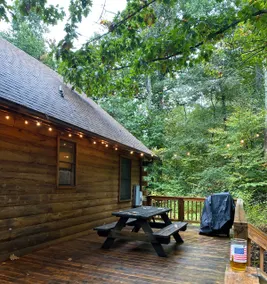 RoverWoods - Cabin off the Blue Ridge Parkway - Image 5