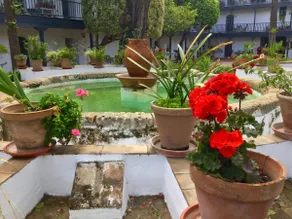 Andalusian Courtyard - Image 5