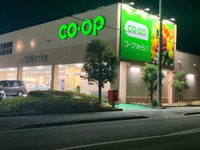 Beautiful and Clean Japanese Style - Image 4