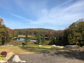 Guest house surrounded by National Forest - Image 4