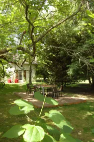 Gîte Sologne Sologne 11 pers, baño nórdico al aire libre, parque 1,2H - Image 4