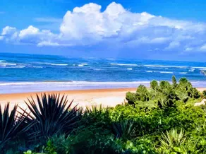 Guarajuba - Genipabu Summer House (Flat beira mar) - Image 4