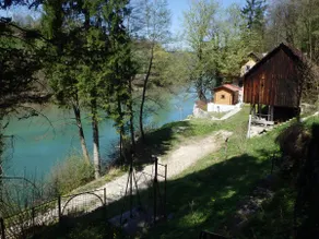 Beautiful Nature 25 meters from the river Sava - Image 4