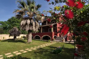 Red in Green - Image 5